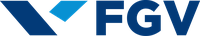 FGV Online
